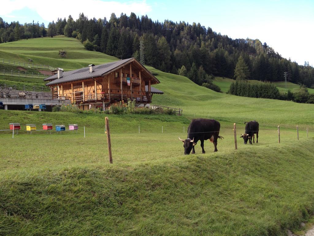 Agritur Ciasa Do Pare Villa Soraga Eksteriør billede